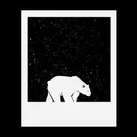 Polaroid Bear - design