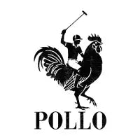 Pollo - design