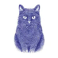 Purr-sonal Identity - design