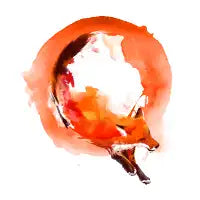 Quick Brown Fox - design