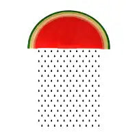 Rainmelon - design