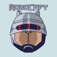 RoboCapy - design