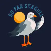 So Far Seagull - design