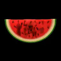 Summer Shadow - design