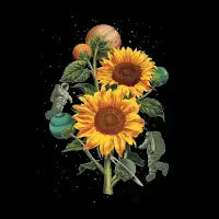 Sun Flower V.2 - design