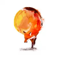 Sun Fox - design