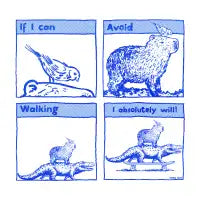 The Art of Not Walking - design