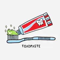 ToadPaste - design