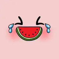 Watermelol - design