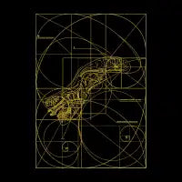Xenomorph Ratio - design