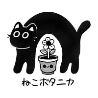 Neko Botanica - design