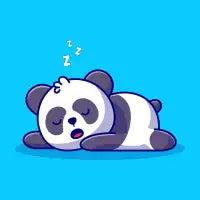 Zzz Panda - design