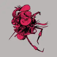 Bard - design