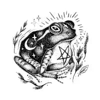 Black Toad - design