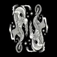 DRACONIS - design