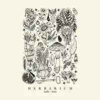 HERBARIUM - design