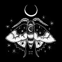 Night Moth - design