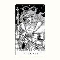 XI LA FORZA - design