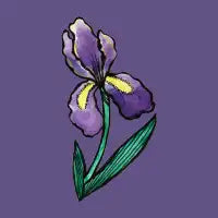 Iris - design