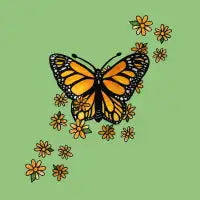 Monarch butterfly - design