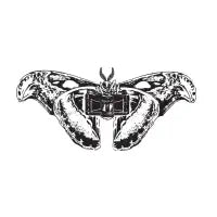 Moth - design
