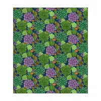 Succulent Summer Garden - design