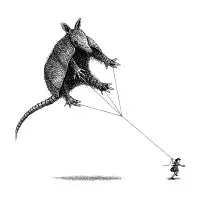 Armadillo Kite - design