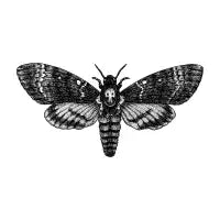 Death's head Moth T-Shirt - design