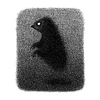 Hedgehog Ghost - design