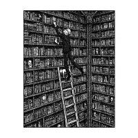 Library - design