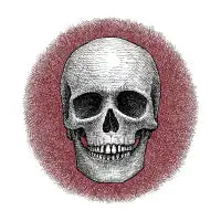 RedSkull - design