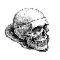 Resting Skull - design