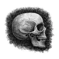 Skull - design