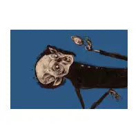 Nosferatu - design