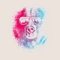Call of the Wild - design