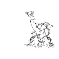 Deer - design