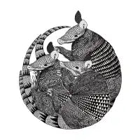 Armadillo - design