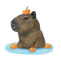 Happy Capybara - design