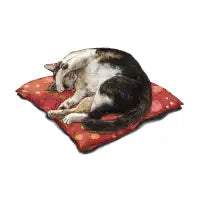 napping cat - design