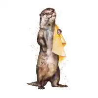 Otter - design