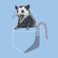 Pocket Possum - design