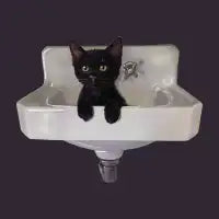 Sink into the Void Cat - design