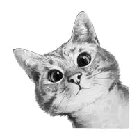 sneaky cat - design