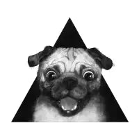 pug life - design