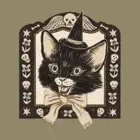 Halloween Witch Cat - design