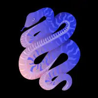 Serpent - design