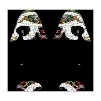 Cat Skull - design