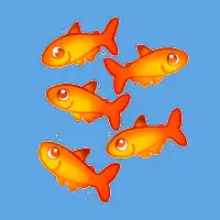Ember Tetras - design