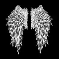 Angel Wings - design