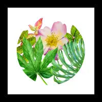 Botany1 - design